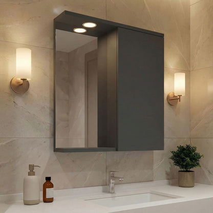 Ντουλάπι Καθρέφτης Μπάνιου 56x68x18 εκ. Matte Anthracite | 785PNC1243