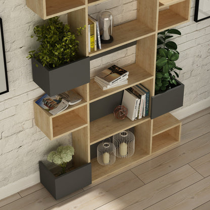 Βιβλιοθήκη 120 × 27 × 171 εκ. Δρυς Ανθρακί GR855DTE3722