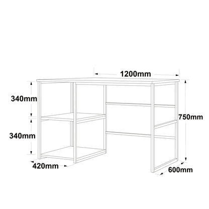 Γραφείο Υπολογιστή και Μελέτης 120x75x60 εκ. Λευκό Marble Χρυσό | 956LCS1131