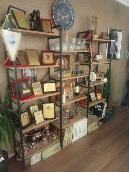 Μεγάλη Βιβλιοθήκη Ράφι για Σαλόνι Γραφείο 172x176x30 εκ 893RAN4113